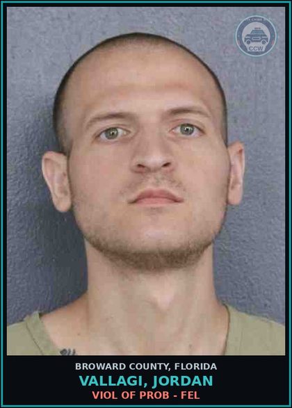CCW arrest card for VALLAGI, JORDAN in Broward County: VIOL OF PROB - FEL