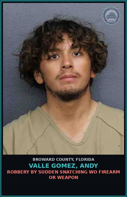 CCW arrest card for VALLE GOMEZ, ANDY in Broward County: TOUCH OR STRIKE/BATTERY/DOMESTIC VIOL