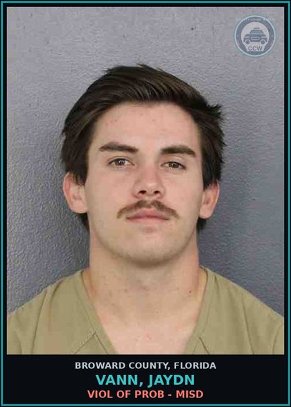 CCW arrest card for VANN, JAYDN in Broward County: VIOL OF PROB - MISD