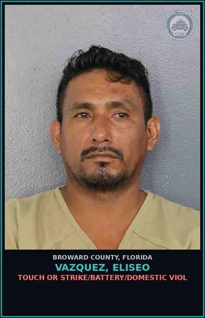 CCW arrest card for VAZQUEZ, ELISEO in Broward County: TOUCH OR STRIKE/BATTERY/DOMESTIC VIOL