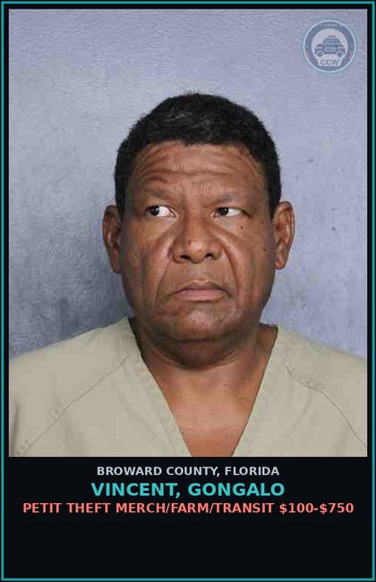 CCW arrest card for VINCENT, GONGALO in Broward County: PETIT THEFT MERCH/FARM/TRANSIT $100-$750