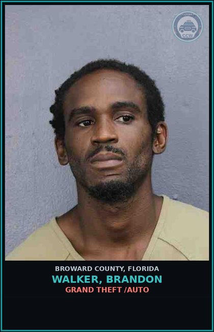 CCW arrest card for WALKER, BRANDON in Broward County: GRAND THEFT /AUTO