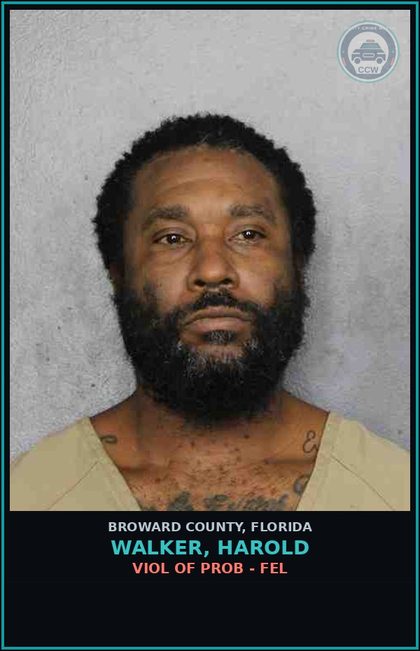 CCW arrest card for WALKER, HAROLD in Broward County: VIOL OF PROB - FEL