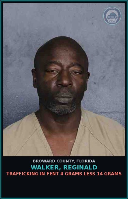 CCW arrest card for WALKER, REGINALD in Broward County: POSS OF WEAPON OR AMMO BY CONVICTED FLA FELON