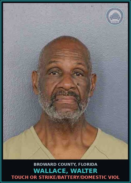 CCW arrest card for WALLACE, WALTER in Broward County: TOUCH OR STRIKE/BATTERY/DOMESTIC VIOL