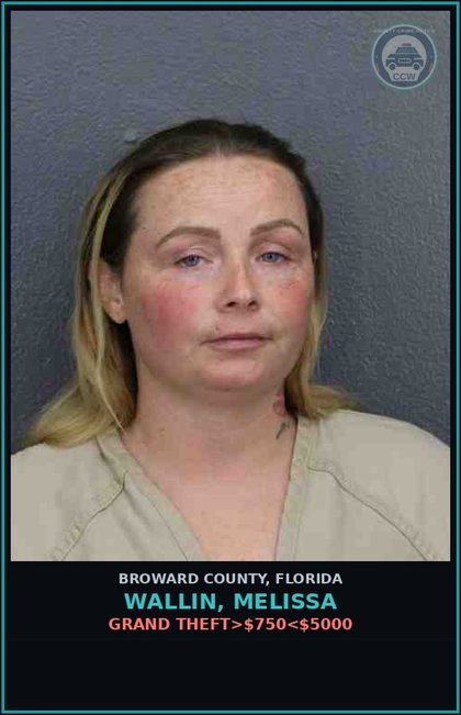 CCW arrest card for WALLIN, MELISSA in Broward County: PETIT THEFT-2ND DEGREE - 1ST OFFENSE