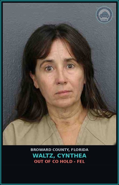 CCW arrest card for WALTZ, CYNTHEA in Broward County: OUT OF CO HOLD - FEL