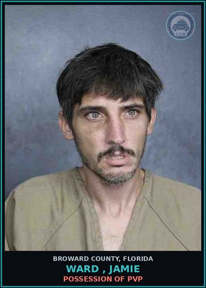 CCW arrest card for WARD , JAMIE in Broward County: POSSESSION OF PVP