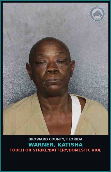 CCW arrest card for WARNER, KATISHA in Broward County: TOUCH OR STRIKE/BATTERY/DOMESTIC VIOL