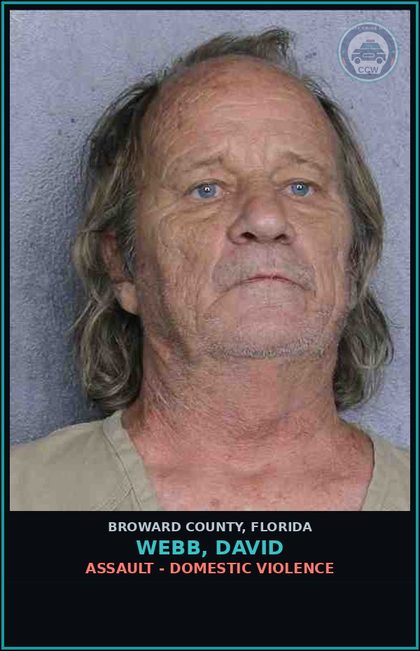 CCW arrest card for WEBB, DAVID in Broward County: ASSAULT - DOMESTIC VIOLENCE