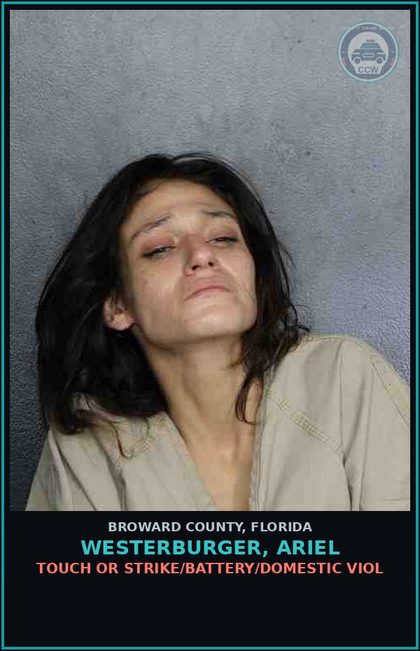 CCW arrest card for WESTERBURGER, ARIEL in Broward County: POSSESSION contr substance W/O PRESCRIPTION