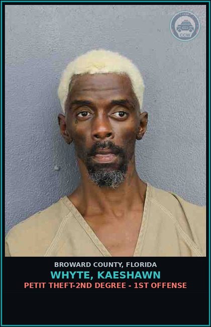 CCW arrest card for WHYTE, KAESHAWN in Broward County: PETIT THEFT-2ND DEGREE - 1ST OFFENSE