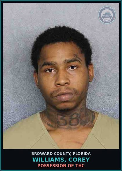 CCW arrest card for WILLIAMS, COREY in Broward County: POSSESS Canna OVR 20 GRMS/SYNTH CANN OVR 3 GRMS