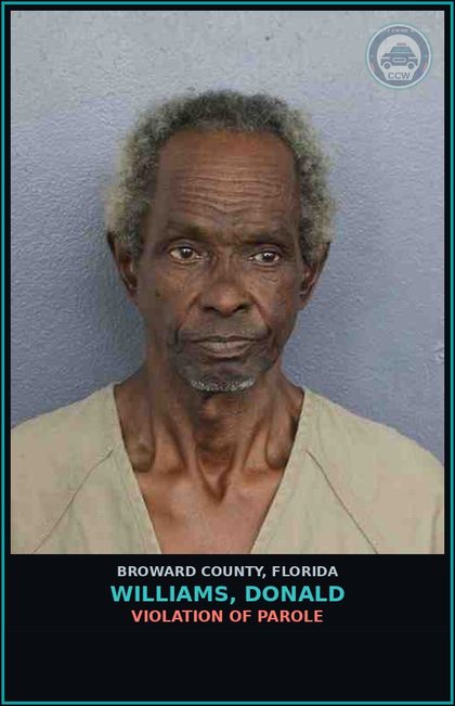 CCW arrest card for WILLIAMS, DONALD in Broward County: VIOLATION OF PAROLE