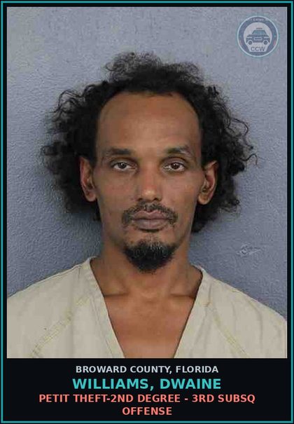 CCW arrest card for WILLIAMS, DWAINE in Broward County: PETIT THEFT-2ND DEGREE - 3RD SUBSQ OFFENSE