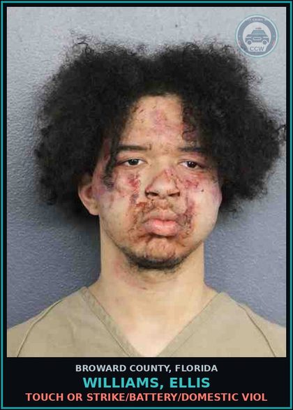 CCW arrest card for WILLIAMS, ELLIS in Broward County: TOUCH OR STRIKE/BATTERY/DOMESTIC VIOL