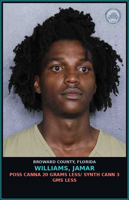 CCW arrest card for WILLIAMS, JAMAR in Broward County: SUNSCRN/SIGN/COVERING ON WNDSH