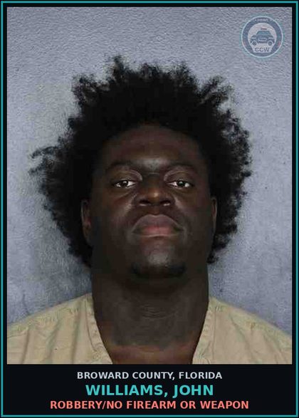 CCW arrest card for WILLIAMS, JOHN in Broward County: DRIVE WHILE LICENSE SUSP- SECOND OFFENSE