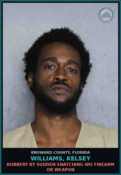 CCW arrest card for WILLIAMS, KELSEY in Broward County: ROBBERY BY SUDDEN SNATCHING WO FIREARM OR WEAPON