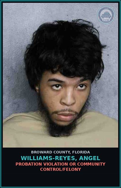CCW arrest card for WILLIAMS-REYES, ANGEL in Broward County: POSSESSION contr substance W/O PRESCRIPTION