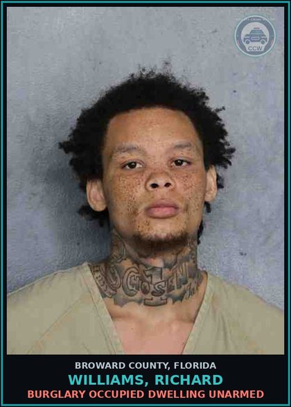CCW arrest card for WILLIAMS, RICHARD in Broward County: DOMESTIC BATTERY BY STRANGULATION