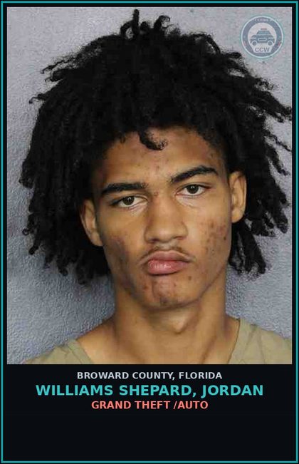 CCW arrest card for WILLIAMS SHEPARD, JORDAN in Broward County: GRAND THEFT /AUTO