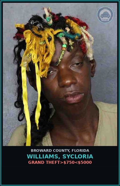 CCW arrest card for WILLIAMS, SYCLORIA in Broward County: DRUG PARAPHERNALIA-POSSESS AND OR USE