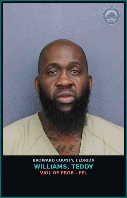CCW arrest card for WILLIAMS, TEDDY in Broward County: VIOL OF PROB - FEL