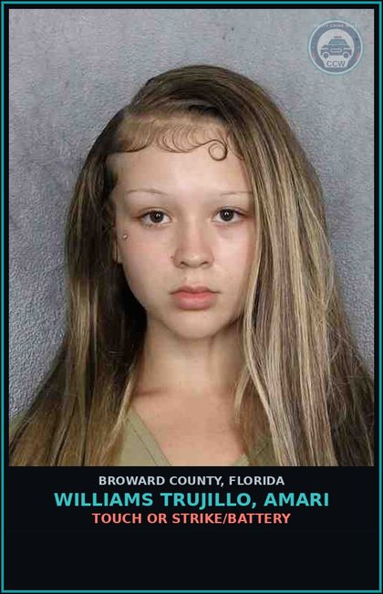 CCW arrest card for WILLIAMS TRUJILLO, AMARI in Broward County: TOUCH OR STRIKE/BATTERY