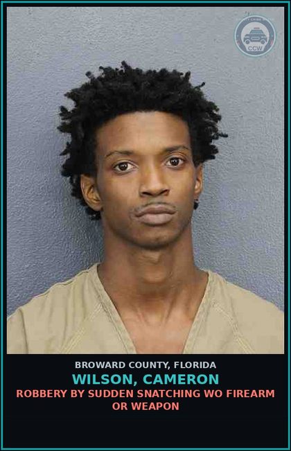 CCW arrest card for WILSON, CAMERON in Broward County: ROBBERY BY SUDDEN SNATCHING WO FIREARM OR WEAPON