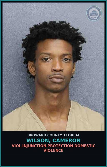 CCW arrest card for WILSON, CAMERON in Broward County: VIOL INJUNCTION PROTECTION DOMESTIC VIOLENCE