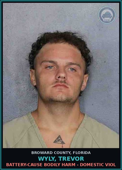 CCW arrest card for WYLY, TREVOR in Broward County: BATTERY-CAUSE BODILY HARM - DOMESTIC VIOL