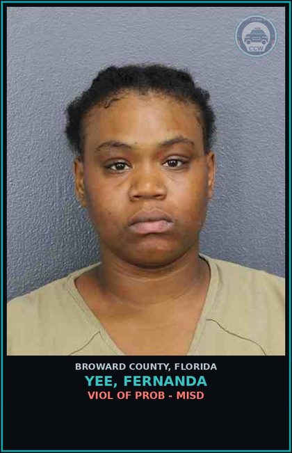 CCW arrest card for YEE, FERNANDA in Broward County: VIOL OF PROB - MISD