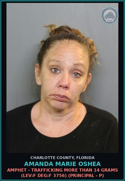 CCW arrest card for AMANDA MARIE OSHEA in Charlotte County: Amphet - Trafficking More Than 14 Grams (LEV:F DEG:F 3756) (Principal - P)