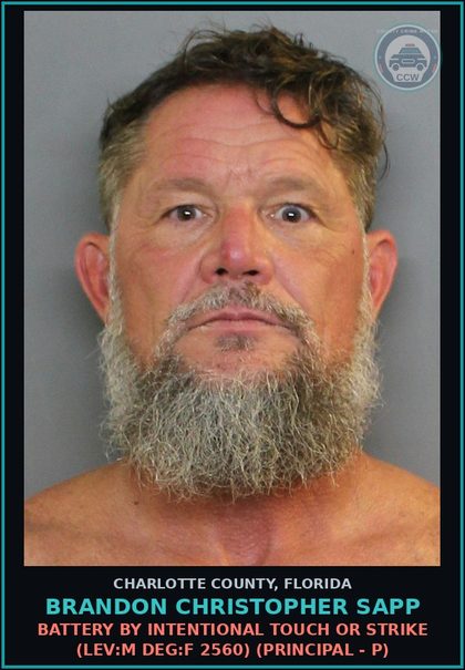 CCW arrest card for BRANDON CHRISTOPHER SAPP in Charlotte County: Battery by Intentional Touch or Strike (LEV:M DEG:F 2560) (Principal - P)