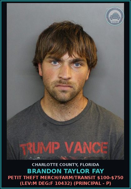 CCW arrest card for BRANDON TAYLOR FAY in Charlotte County: PETIT THEFT MERCH/FARM/TRANSIT $100-$750 (LEV:M DEG:F 10432) (Principal - P)