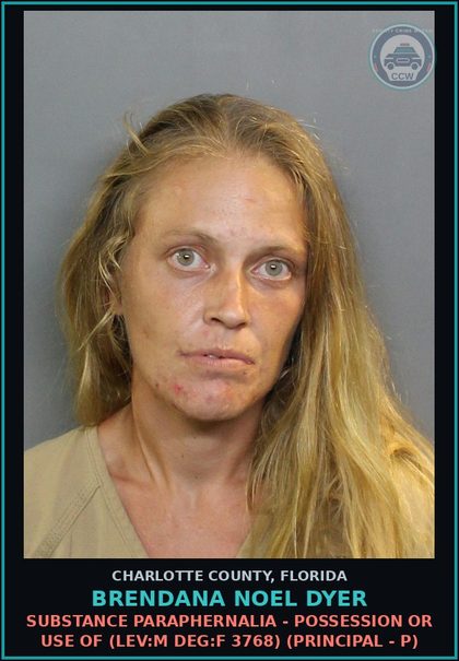 CCW arrest card for BRENDANA NOEL DYER in Charlotte County: CANNA - POSSESS NOT MORE THAN 20 GRAMS (LEV M: DEG F 3696) (Principal - P)