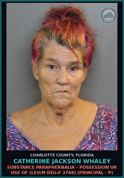 CCW arrest card for CATHERINE JACKSON WHALEY in Charlotte County: substance Paraphernalia - Possession or Use Of (LEV:M DEG:F 3768) (Principal - P)