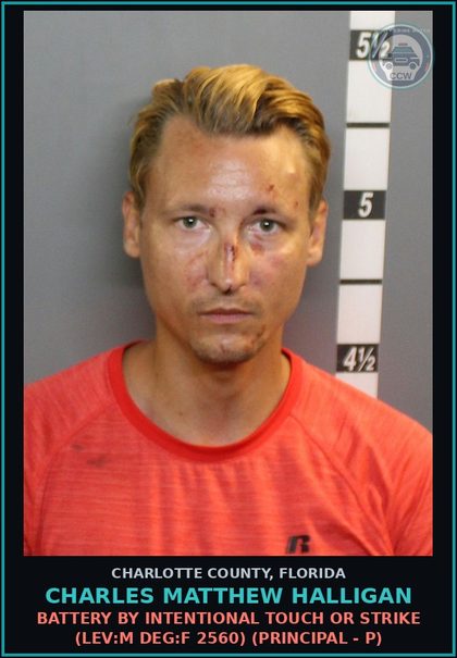 CCW arrest card for CHARLES MATTHEW HALLIGAN in Charlotte County: Battery by Intentional Touch or Strike (LEV:M DEG:F 2560) (Principal - P)