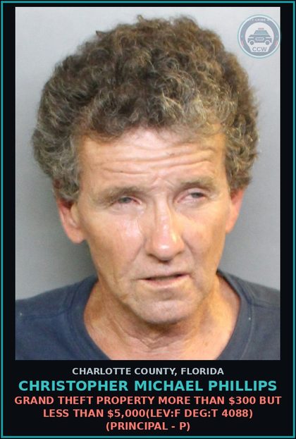CCW arrest card for CHRISTOPHER MICHAEL PHILLIPS in Charlotte County: Grand Theft Property More than $300 but less than $5,000(LEV:F DEG:T 4088) (Principal - P)