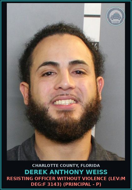 CCW arrest card for DEREK ANTHONY WEISS in Charlotte County: Violation of Pretrial Release for Domestic Violence (LEV:M DEG:F 10390) (Principal - P)
