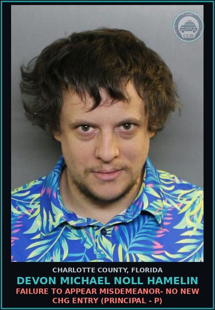 CCW arrest card for DEVON MICHAEL NOLL HAMELIN in Charlotte County: FAILURE TO APPEAR MISDEMEANOR- NO NEW CHG ENTRY (Principal - P)