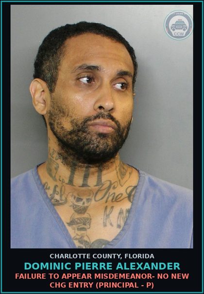 CCW arrest card for DOMINIC PIERRE ALEXANDER in Charlotte County: FAILURE TO APPEAR MISDEMEANOR- NO NEW CHG ENTRY (Principal - P)