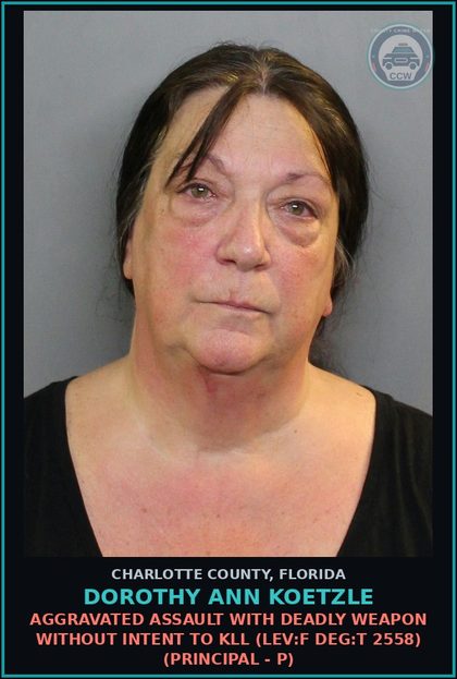 CCW arrest card for DOROTHY ANN KOETZLE in Charlotte County: Willfully abuses a chld without causing great bodily harm (LEV:F DEG:T 7492) (Principal - P)