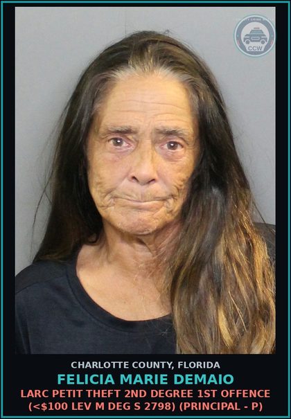 CCW arrest card for FELICIA MARIE DEMAIO in Charlotte County: LARC Petit theft 2nd Degree 1st Offence (<$100 LEV M DEG S 2798) (Principal - P)
