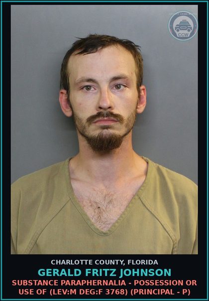 CCW arrest card for GERALD FRITZ JOHNSON in Charlotte County: Possess Cntrl Sub WO PRESCRP (LEV F DEG T 3695) (Principal - P)