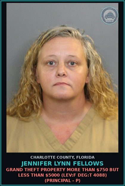 CCW arrest card for JENNIFER LYNN FELLOWS in Charlotte County: Grand Theft Property More than $750 but Less Than $5000 (LEV:F DEG:T 4088) (Principal - P)
