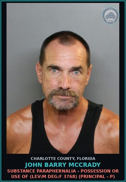 CCW arrest card for JOHN BARRY MCCRADY in Charlotte County: Petit Theft 2nd Offense (LEV:M DEG:F 2799) (Principal - P)