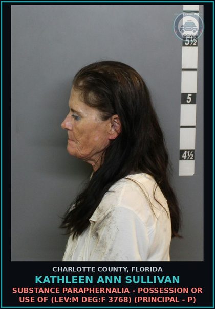 CCW arrest card for KATHLEEN ANN SULLIVAN in Charlotte County: Fleeing or Attempting to Elude LEO (LEV:F DEG:T 382) (Principal - P)