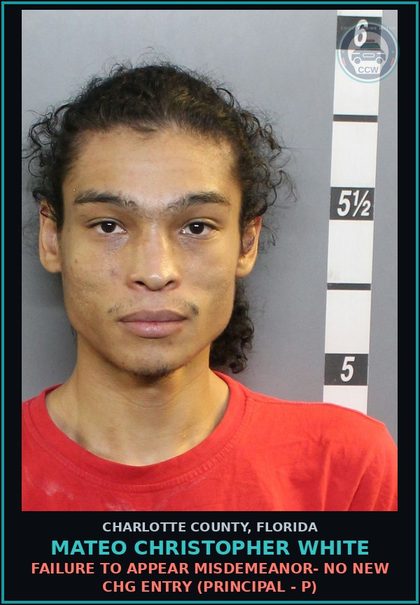 CCW arrest card for MATEO CHRISTOPHER WHITE in Charlotte County: FAILURE TO APPEAR MISDEMEANOR- NO NEW CHG ENTRY (Principal - P)
